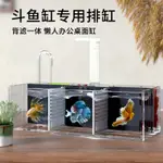 【氵氵水族 現貨速發】 泰國鬥魚缸亞克力排缸免換水桌面小型觀賞分格鬥魚專用分隔魚缸