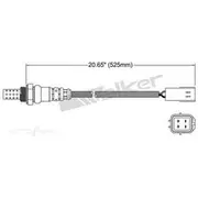 PAT Oxygen/Lambda Sensor Pre-Catalytic Converter/Manifold - EGO-639