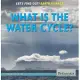 What Is the Water Cycle?