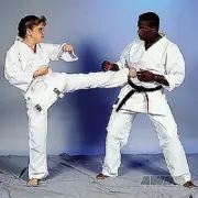 ProForce 10 oz.Heavyweight Instructors Uniform Karate Gi - White