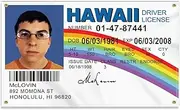Large 3×5 FT McLovin ID Flag, Big Fake Driver License 100D National Banner,Decor Garden With 4 Brass Gromment