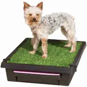 The Pet Loo Small Cat & Dog Backyard / Balcony Toilet In A Box [ PWM00-14497 ]