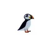 Embroidery patch sew badge iron on glue transfer puffin