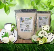 Graviola Soursop Fruit Powder 16oz 1lb Superfood Immune System Booster Delicious