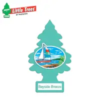 在飛比找蝦皮商城優惠-【Little Trees】美國原裝進口小樹芳香片-海灣微風