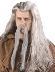 Fun World Men's Long Gray Wizard Wig B0601
