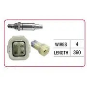 RAE Oxygen Sensor - OX541