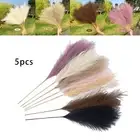 Faux Pampas Grass, 70cm Artificial Pampas Grass 5 Stem Pompous Arrangement