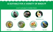 Wooden Bird Breeding Box Cage Parrot Budgie Nesting House Lovebirds Finch