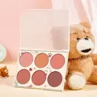 6 Colors Blush Palette For Cheek Makeup Blush Colors Dirty Orange Plum Dried 2BB