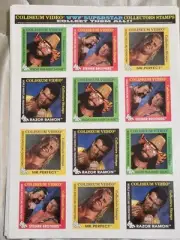 1993 WWF Wrestling Coliseum Video Stamp Sheet Macho Man Razor Rick Scott Steiner