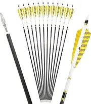 6/12 Pack 30 Inch Pure Carbon Hunting Arrow Spine 250/300/350/400/500/600 Target Practice Arrows with 4" Turkey Feathers and 100 Grain Field Points for Recurve&Compound Bow
