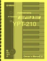 Yamaha PSR-E213 YPT-210 Keyboard OWNER'S MANUAL