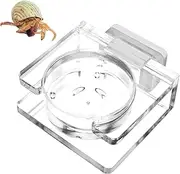 Euyehn Tarantula Feeding Dish | Magnetic Food Dish, Transparent Acrylic Bowl for Jumping Spider Tarantula Small Spider, Reptile Enclosure Accessories