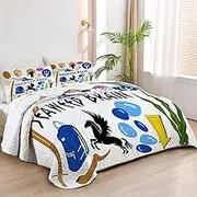 Allenjoy King Size Demigod Adventures Quilt Bedspreads Greek Heroes Bed Set Bedding Coverlet Fabric Washable with 2 Pillow Shams SC00022-007
