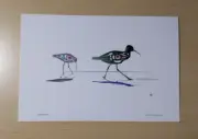 Sandpipers Mark Preston Art Card Tlingit Native