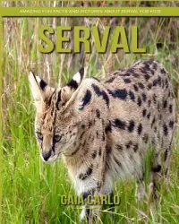 在飛比找博客來優惠-Serval: Amazing Fun Facts and 