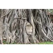 Save 20.00%! Ayutthaya Adventure Food, Temples, and History