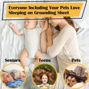Conductive Grounding Sheet Conductive Grounding Sheet Organic Grounding