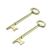 Skeleton Key 1 Flat 1 Notch Tip 2 Pack Combo (87202)
