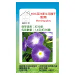 【蔬菜工坊】H70.西洋牽牛花種子(藍寶)