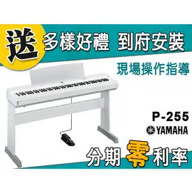 【金聲樂器】YAMAHA P-255 電鋼琴 分期零利率 贈多樣好禮 P255