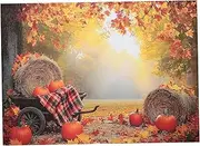 COHEALI Fall Leaves and Pumpkins Photography Backdrop Cloth for Farm Thanksgiving Party Decorations Autumn Harvest Background