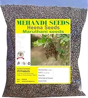 VS Products Dried Mehandi Seeds, 800g, Henna Seeds, Maruhtani Seeds, Lawsonia Inermis, Mehendi Beej, (Pack of 8 X 100gm)