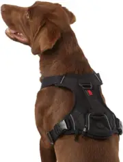 Ultra Durable Waste Bag Harness (Medium, Black)