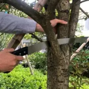 Saxon 325mm Pruning Saw Garden Tool Gardening Grass Backyard Tree Trimmer