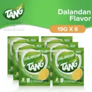 Tang Instant Drink Mix - Dalandan Flavor 19g (6 Packs)