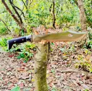 Hand Forged High Carbon 1095 Steel Bowie Knife Fixed Blade Survival Knife, Sheat