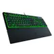 【RAZER 雷蛇】Ornata V3 X 雨林狼蛛 V3 X 靜音薄膜電競鍵盤 中文