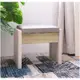 AS DESIGN雅司家具-希格諾斯-白鋼刷收納化妝椅-50*31*44CM