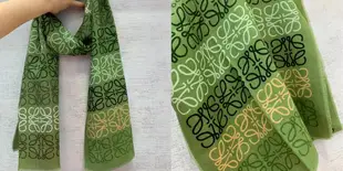 姍姍空姐團購 三折下探 只要NT.49xx LOEWE 羊毛 絲綢 與羊絨混紡 Anagram 圍巾 綠色/多色
