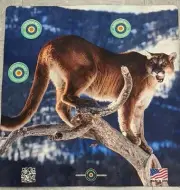 Arrow mat Mountain Lion Target Neoprene 16"X16"