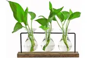 Hydroponic Plant Vase Propagation Station