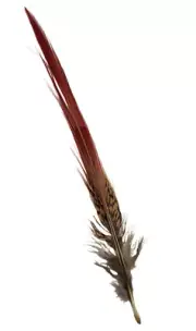 Cactus Ranch Feather Pointer Red Tip - Hats Add-Ons - F-54