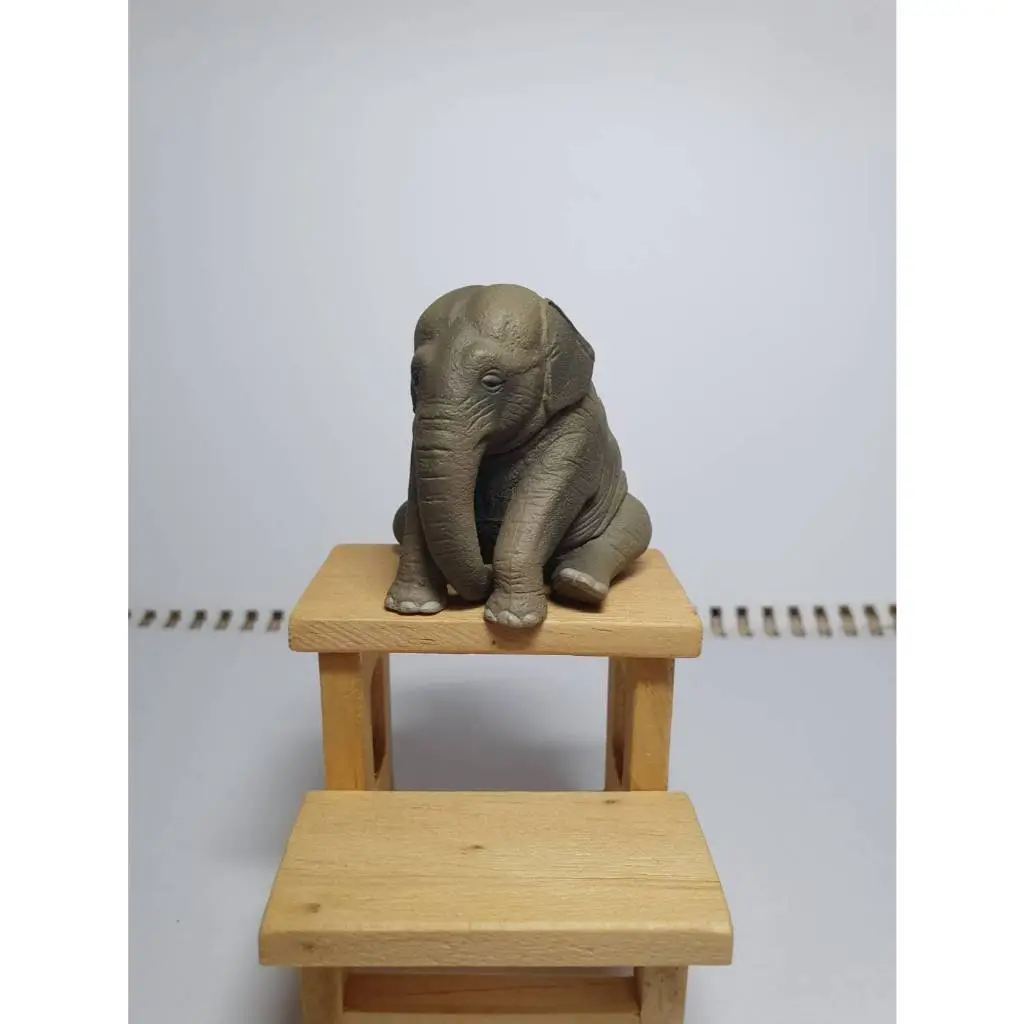 休眠動物大象的價格推薦- 2026年01月|飛比價格