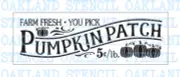 Pumpkin Patch STENCIL for Painting Wood Signs Wall Fabric Reusable Fall Large