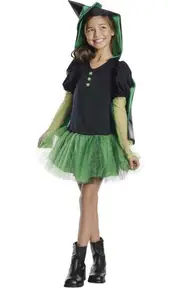 Wicked Witch Wizard Of Oz Hoodie Tutu Child Costume