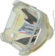 BHL-5009-S Projector Bare Lamp/Bulb for DLA-RS1 DLA-RS2 DLA-RS1U DLA-RS2U DLA-HD1 DLA-HD10 DLA-HD100 DLA-HD1WE