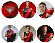 ESSENDON Bombers Badges (6 Pack)