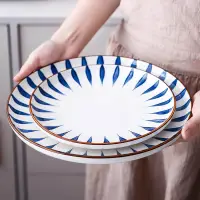 在飛比找蝦皮購物優惠-【台灣熱賣】日式餐具盤子 創意網紅菜盤 家用陶瓷盤 手繪西餐
