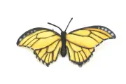 Butterfly, Monarch, Yellow and Orange, Very Nice Plastic Figure, Model 8"