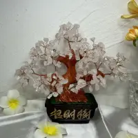 在飛比找momo購物網優惠-【千奇國際精品】天然水晶 搖錢樹發財粉水晶方型招財樹(聚氣聚