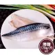 【新鮮市集】人氣挪威薄鹽鯖魚片5片(170g/片)