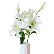 2Pcs Large White Lily Artificial Flowers, 34" Long Stem Real Touch Silk Faux