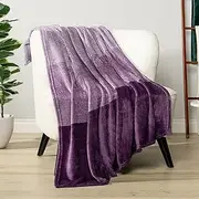 PAVILIA Purple Ombre Fleece Throw Blanket for Couch, Soft Flannel Blanket for Sofa Bed Room, Plush Lightweight Light Lavender Lilac Gradient Blanket, Cozy Microfiber Decorative Gift Throw, 50x60