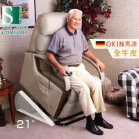 在飛比找momo購物網優惠-【Sun Pin】Tudor都鐸公爵電動起身椅-全牛皮OKI